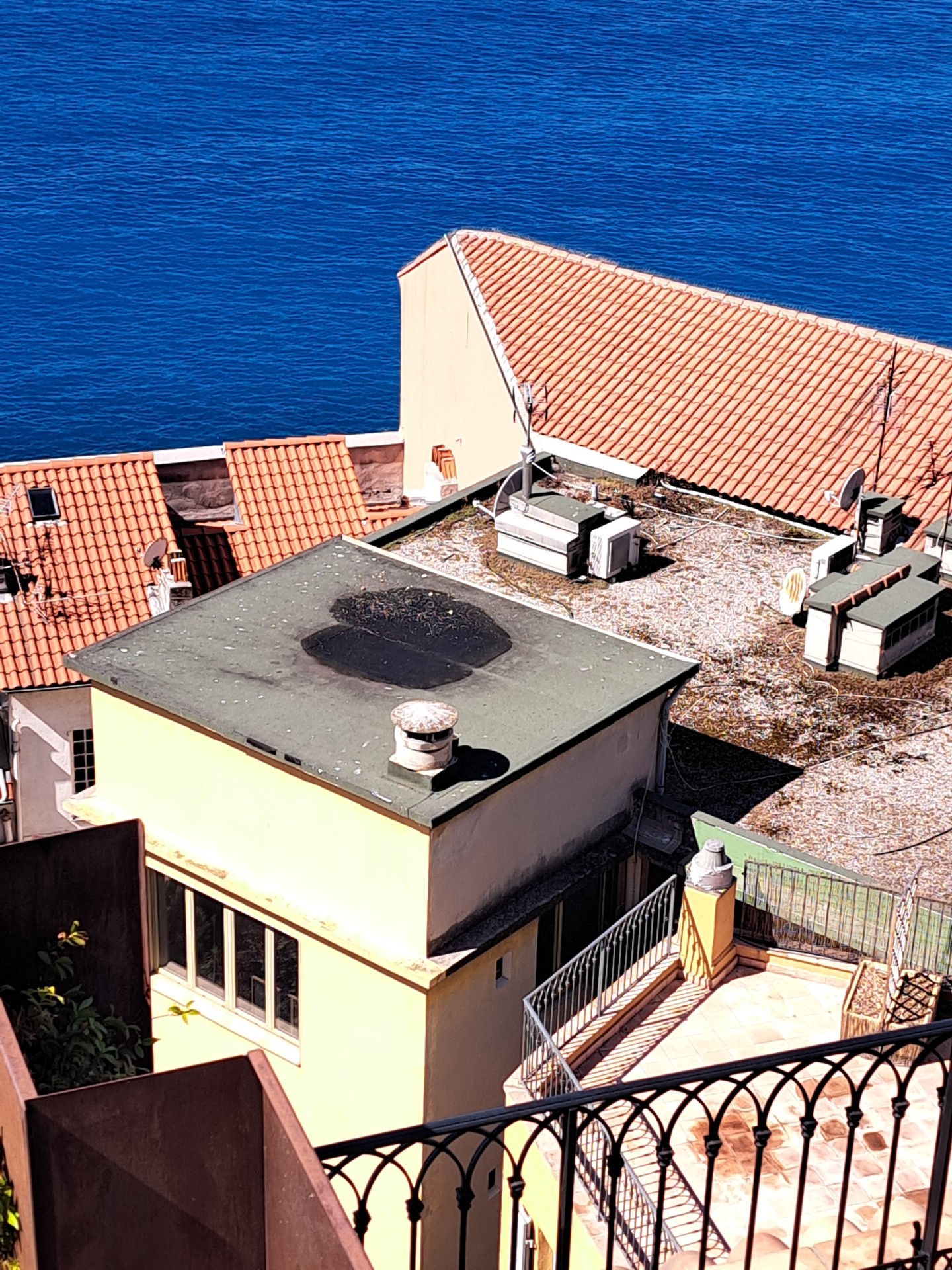 Dépigeonnage sanitaire par tir dans un hôtel
